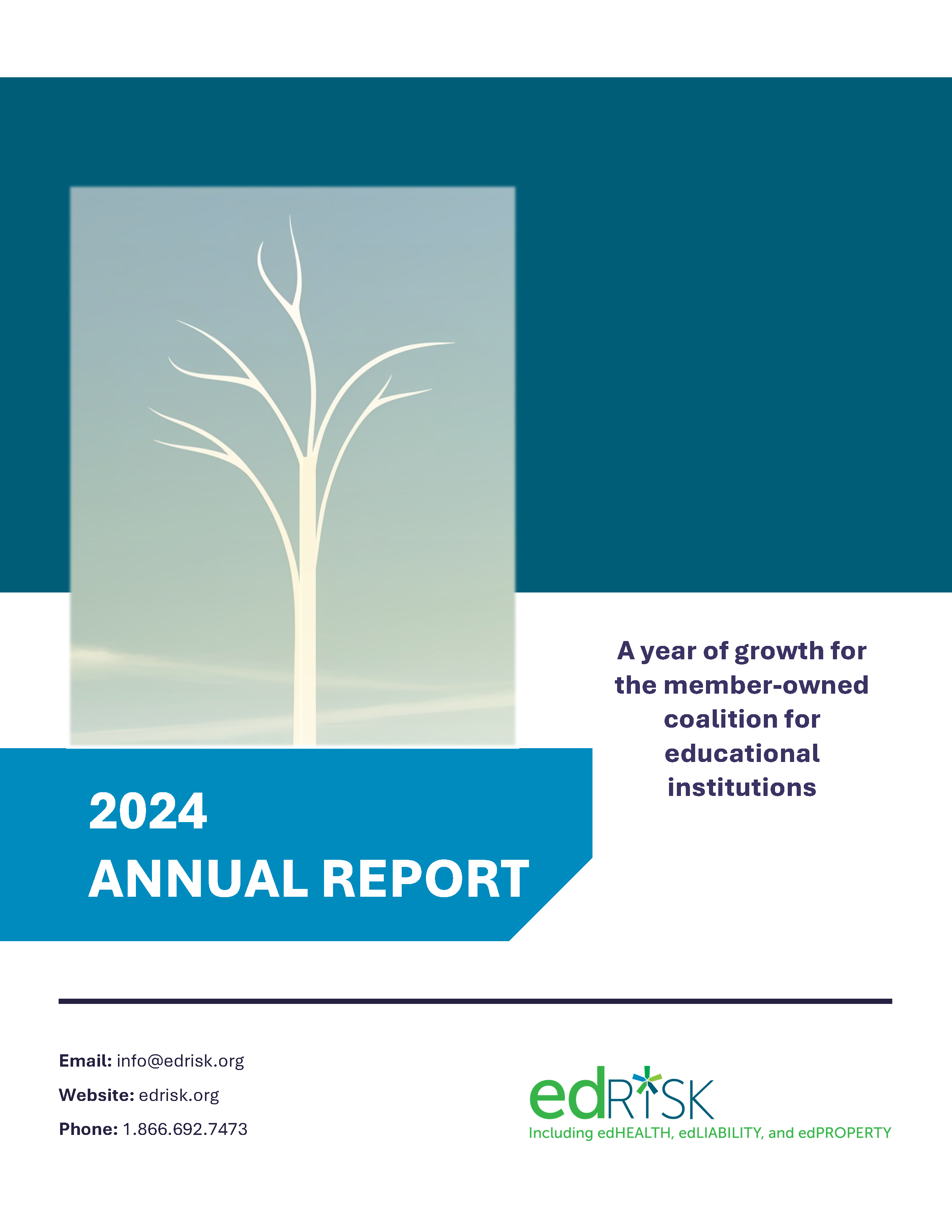 cover of edRISK's 2024 annual report